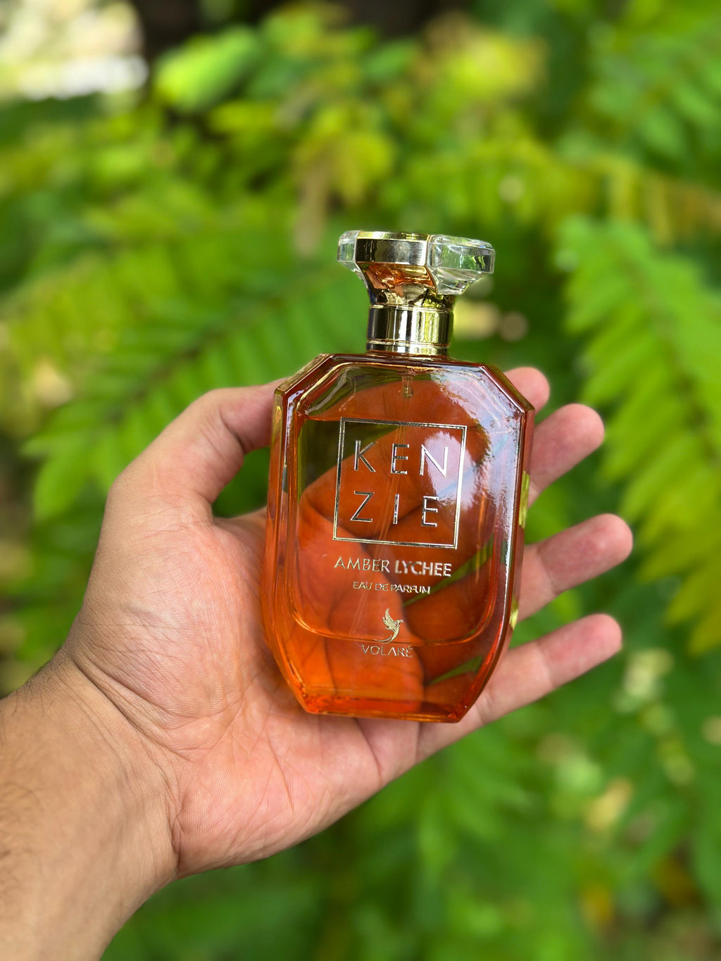 Kenzie Amber lychee by volare